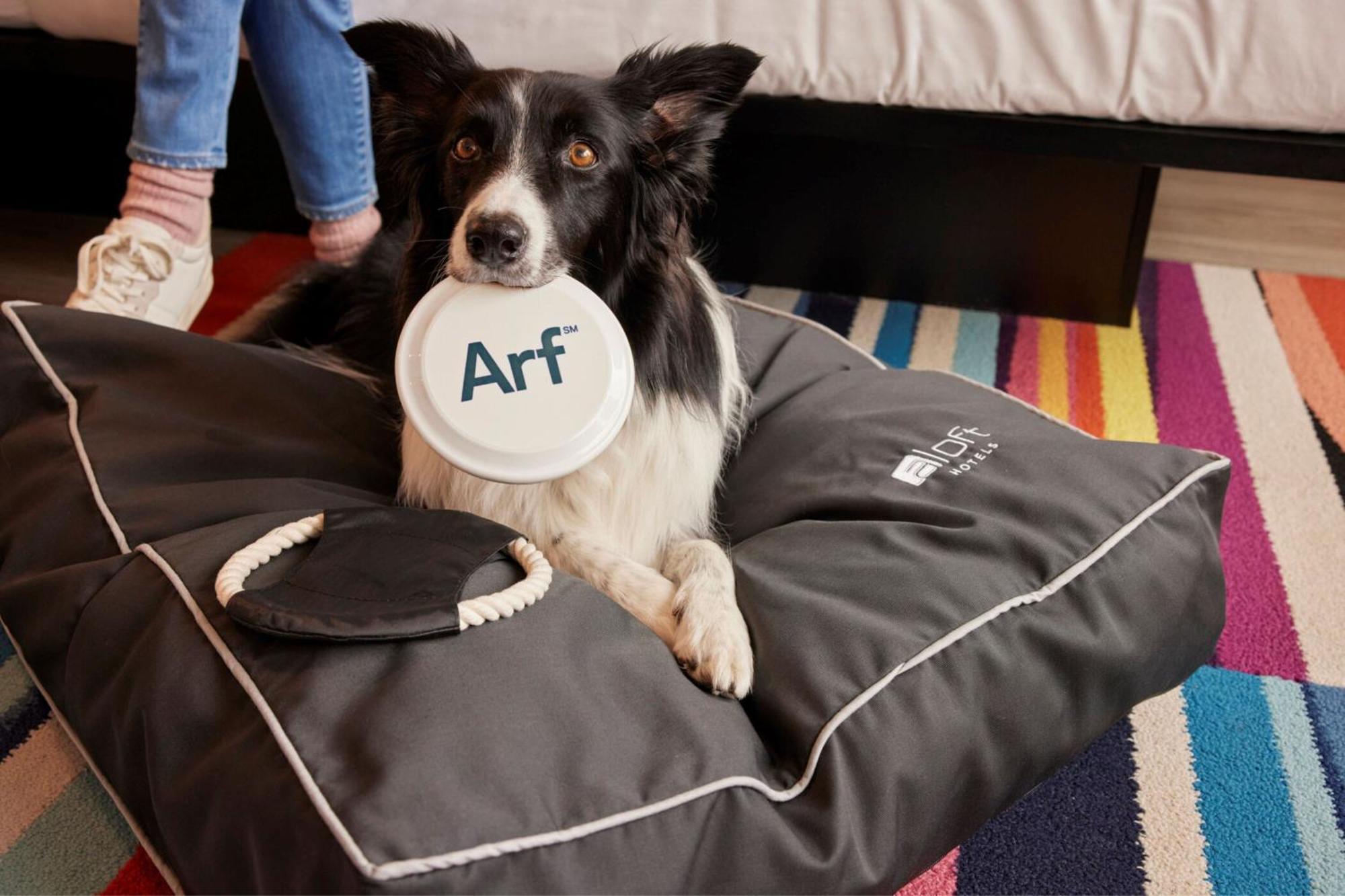 Aloft Dublin City Eksteriør bilde